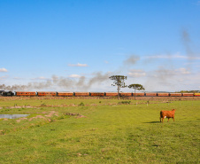 SETU MARIA FUMAÇA