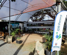 EXPOINGÁ AGENDA