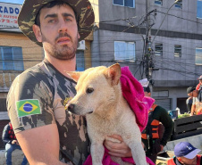 PIPA