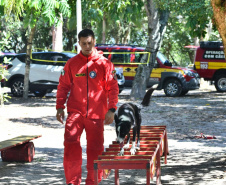 CERTIFICAÇÃO DE CÃES BOMBEIROS