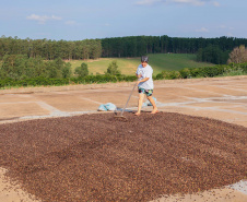 BOLETIM AGRO