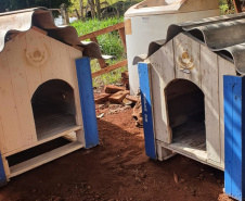 SESP CASINHAS CÃES RESGATADOS RS