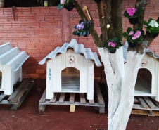 SESP CASINHAS CÃES RESGATADOS RS