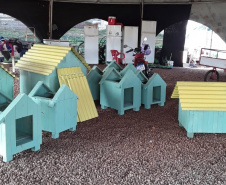SESP CASINHAS CÃES RESGATADOS RS