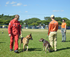 BOMBEIROS CÃES EM DESASTRES