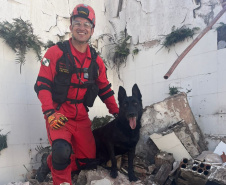 BOMBEIROS CÃES EM DESASTRES
