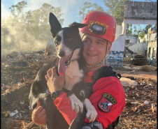 BOMBEIROS CÃES EM DESASTRES