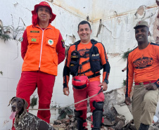 BOMBEIROS CÃES EM DESASTRES