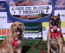 BOMBEIROS CÃES EM DESASTRES