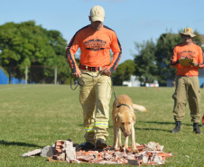BOMBEIROS CÃES EM DESASTRES