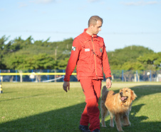 BOMBEIROS CÃES EM DESASTRES