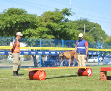 BOMBEIROS CÃES EM DESASTRES