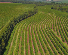 BOLETIM AGRO
