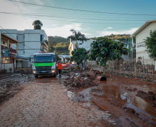 De limpeza de escola a salvamento de animais: a rotina solidária da equipe do IAT no RS