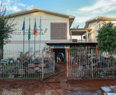 De limpeza de escola a salvamento de animais: a rotina solidária da equipe do IAT no RS