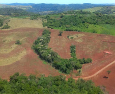 Operação de fiscalização remota aplicou R$ 5,9 milhões em multas por desmatamento ilegal no Paraná.