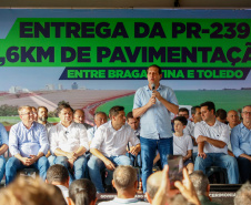 PR239