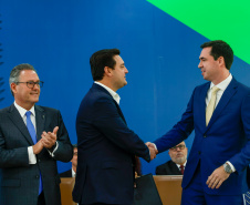 POSSE DEFENSOR