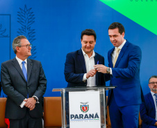 POSSE DEFENSOR