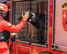BOMBEIROS