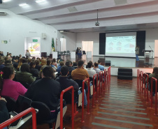 SESA CAPACITA PROFISSIONAIS IDOSOS