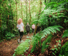 Paranaenses podem contribuir com o turismo de natureza e concorrer a prêmios de passeios