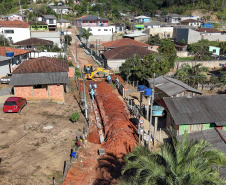 Prefeituras de 50 municípios já plantaram 86.930 mudas no programa Asfalto Novo, Vida Nova