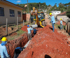 Prefeituras de 50 municípios já plantaram 86.930 mudas no programa Asfalto Novo, Vida Nova
