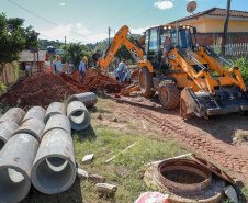 Prefeituras de 50 municípios já plantaram 86.930 mudas no programa Asfalto Novo, Vida Nova