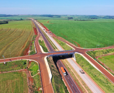 cascavel