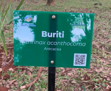 IAT CENTRO DE EDUCAÇÃO AMBIENTAL BURITI