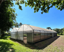 IAT CENTRO DE EDUCAÇÃO AMBIENTAL BURITI