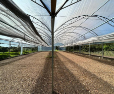 IAT CENTRO DE EDUCAÇÃO AMBIENTAL BURITI
