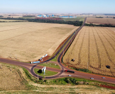 CONTORNO DE PALOTINA