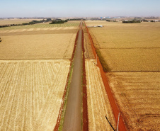 CONTORNO DE PALOTINA