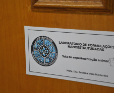 Pesquisa da Unicentro resulta num fármaco com nanopartículas para o tratamento de diabetes