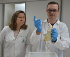 Pesquisa da Unicentro resulta num fármaco com nanopartículas para o tratamento de diabetes