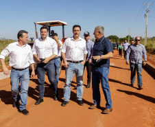 mirador