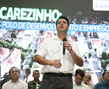 jacare