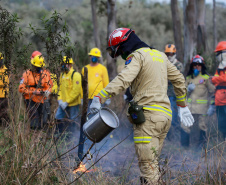 BOMBEIROS