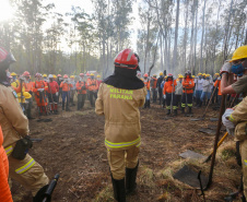 BOMBEIROS
