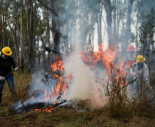 BOMBEIROS