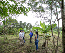 PORTOS DO PARANÁ ÁREA FLORESTAL