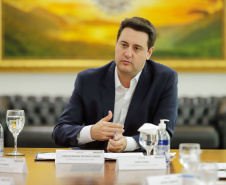 INVESTIDORES GOV