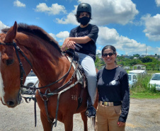 Terapia com cavalos oferecida pela PMPR colabora na qualidade de vida de pessoas com deficiência 