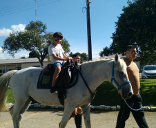 Terapia com cavalos oferecida pela PMPR colabora na qualidade de vida de pessoas com deficiência 