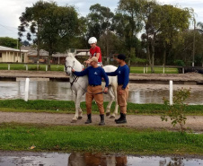 Terapia com cavalos oferecida pela PMPR colabora na qualidade de vida de pessoas com deficiência 