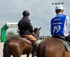 Terapia com cavalos oferecida pela PMPR colabora na qualidade de vida de pessoas com deficiência 