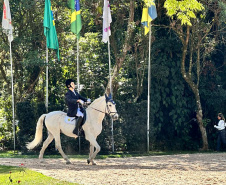 Terapia com cavalos oferecida pela PMPR colabora na qualidade de vida de pessoas com deficiência 