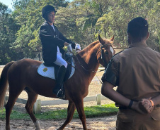 Terapia com cavalos oferecida pela PMPR colabora na qualidade de vida de pessoas com deficiência 